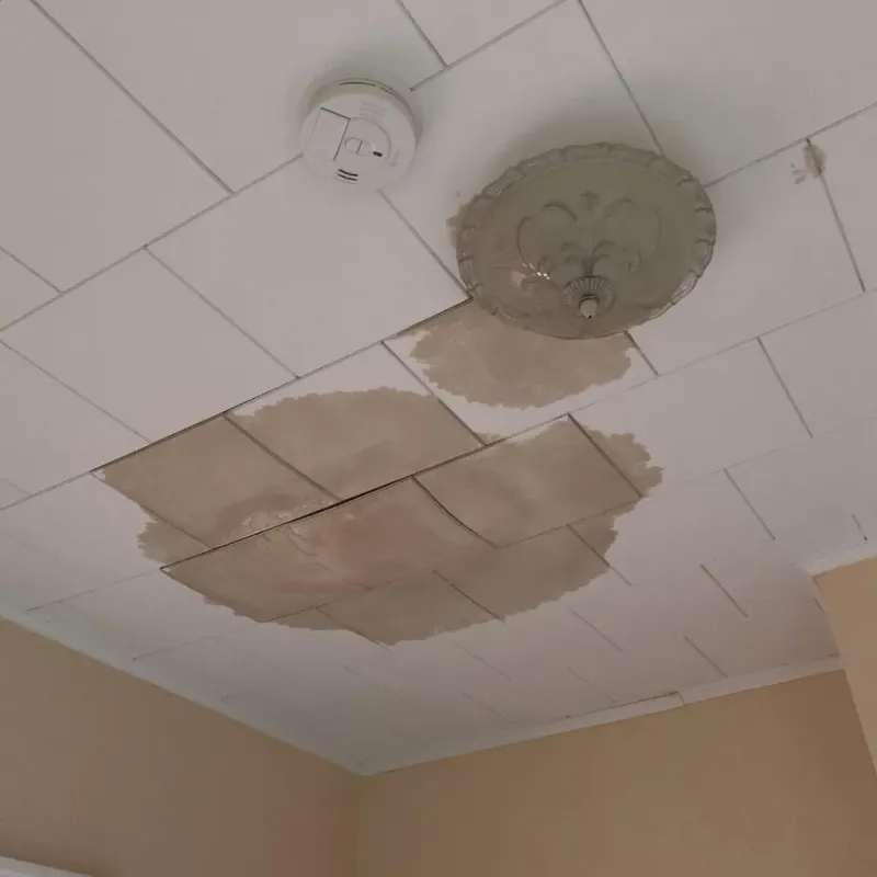 Ceiling Water Damage Repair in Obion, TN